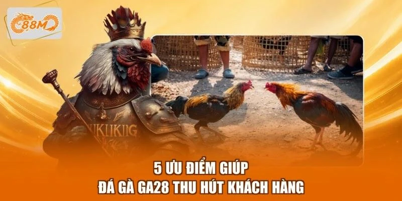 5-uu-diem-giup-da-ga-ga28-thu-hut-khach-hang 5 ưu điểm giúp đá gà GA28 thu hút khách hàng