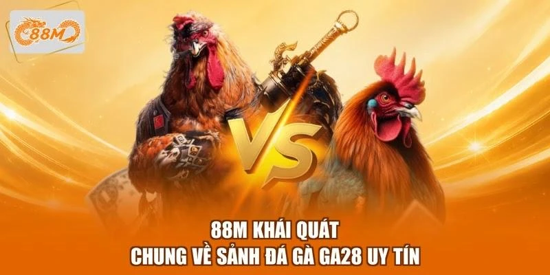 88m-khai-quat-chung-ve-sanh-da-ga-ga28-uy-tin 88M khái quát chung về sảnh đá gà GA28 uy tín