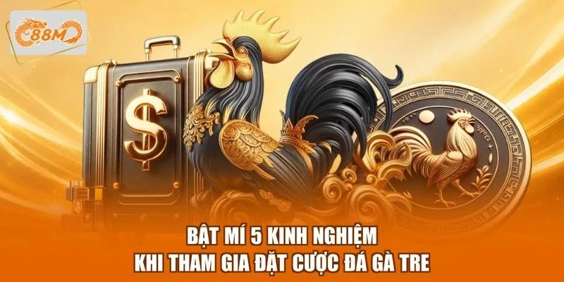 bat-mi-5-kinh-nghiem-khi-tham-gia-dat-cuoc-da-ga-tre Bật mí 5 kinh nghiệm khi tham gia đặt cược đá gà tre