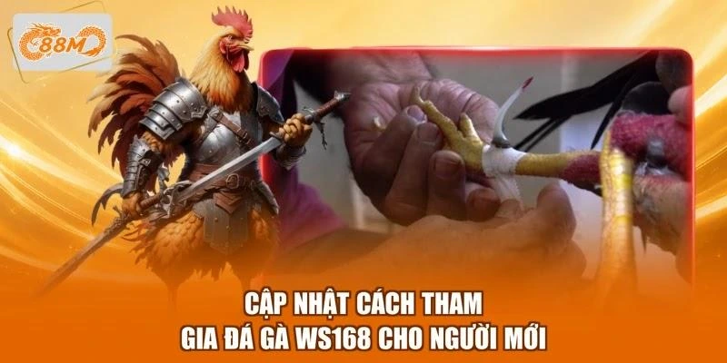 cap-nhat-cach-tham-gia-da-ga-ws168-cho-nguoi-moi Cập nhật cách tham gia đá gà WS168 cho người mới