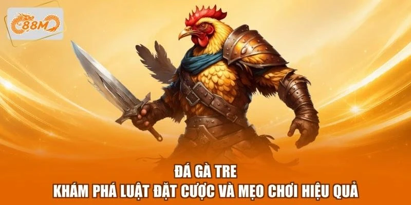 Đá Gà Tre - Khám Phá Luật Đặt Cược Và Mẹo Chơi Hiệu Quả 1 Đá Gà Tre - Khám Phá Luật Đặt Cược Và Mẹo Chơi Hiệu Quả