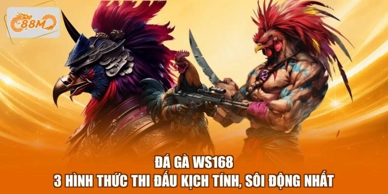 Đá Gà WS168 - 3 Hình Thức Thi Đấu Kịch Tính, Sôi Động Nhất 1 Đá Gà WS168 - 3 Hình Thức Thi Đấu Kịch Tính, Sôi Động Nhất