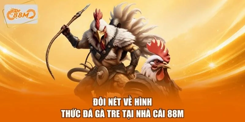 doi-net-ve-hinh-thuc-da-ga-tre-tai-nha-cai-88m Đôi nét về hình thức đá gà tre tại nhà cái 88M