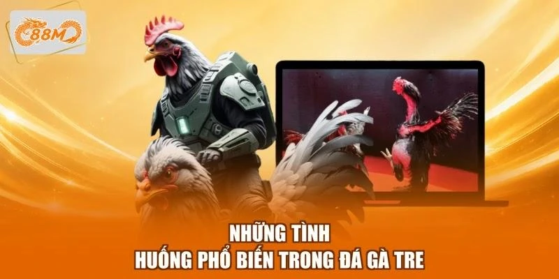 nhung-tinh-huong-pho-bien-trong-da-ga-tre Những tình huống phổ biến trong đá gà tre