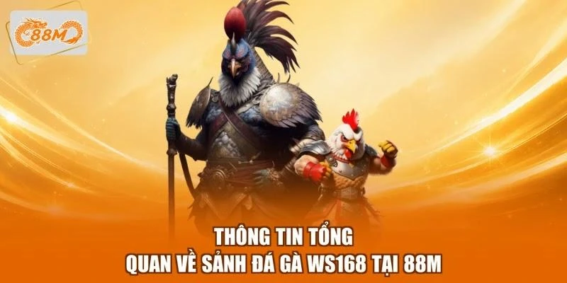 thong-tin-tong-quan-ve-sanh-da-ga-ws168-tai-88m Thông tin tổng quan về sảnh đá gà WS168 tại 88M