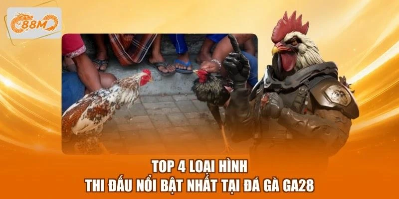 top-4-loai-hinh-thi-dau-noi-bat-nhat-tai-da-ga-ga28 Top 4 loại hình thi đấu nổi bật nhất tại đá gà GA28